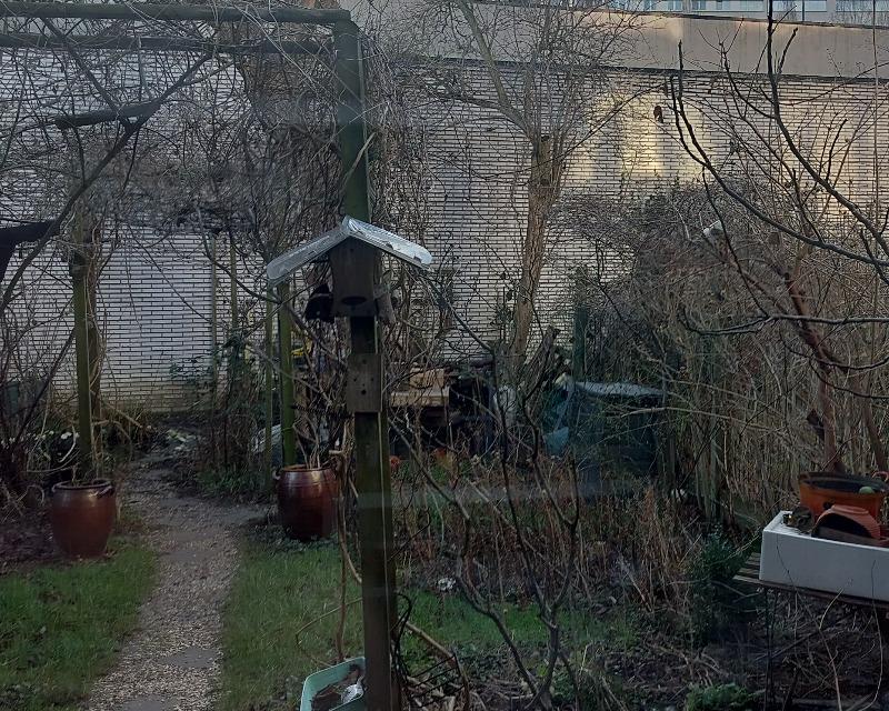 Accueil de la faune